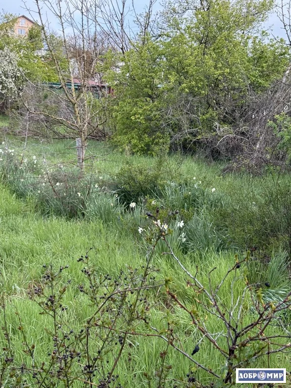 Продается Участок - Фото 5