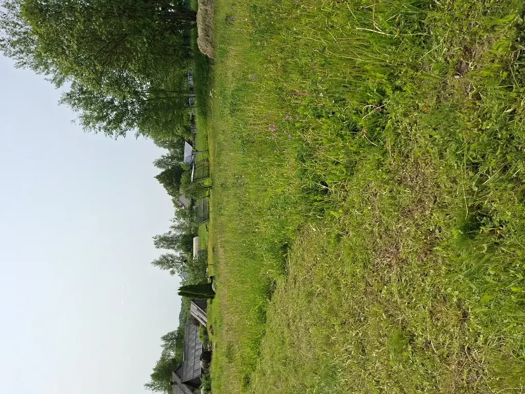 Продается дом на уч. в дерене Щелканово - Фото 3