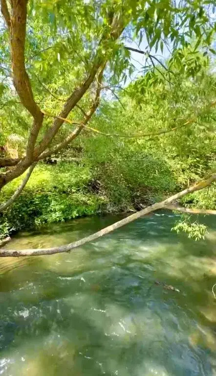 Дача 36 м2 на участке 6 сот. - Фото 8