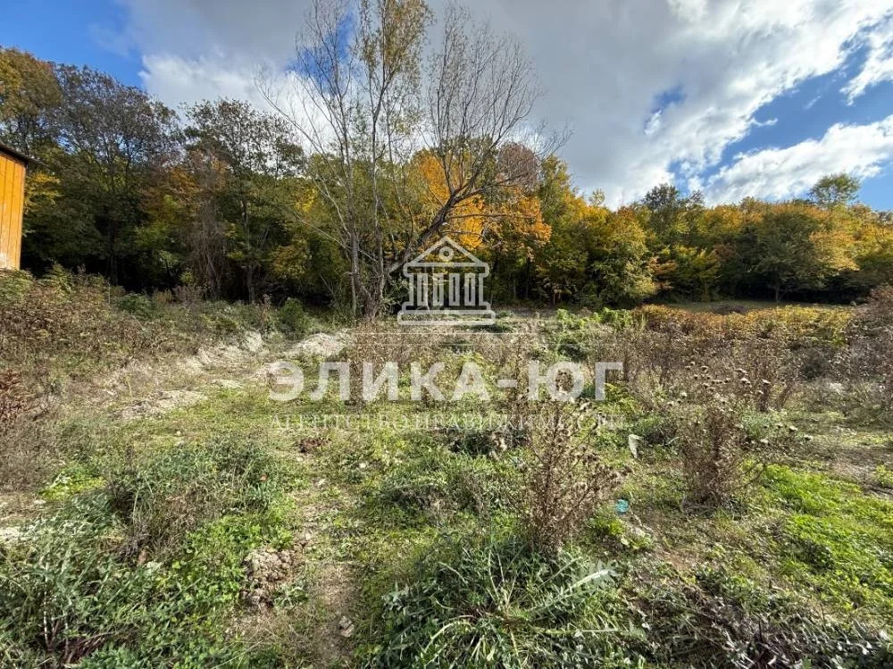 Продажа участка, Тенгинка, Туапсинский район, Надежды ул. - Фото 4