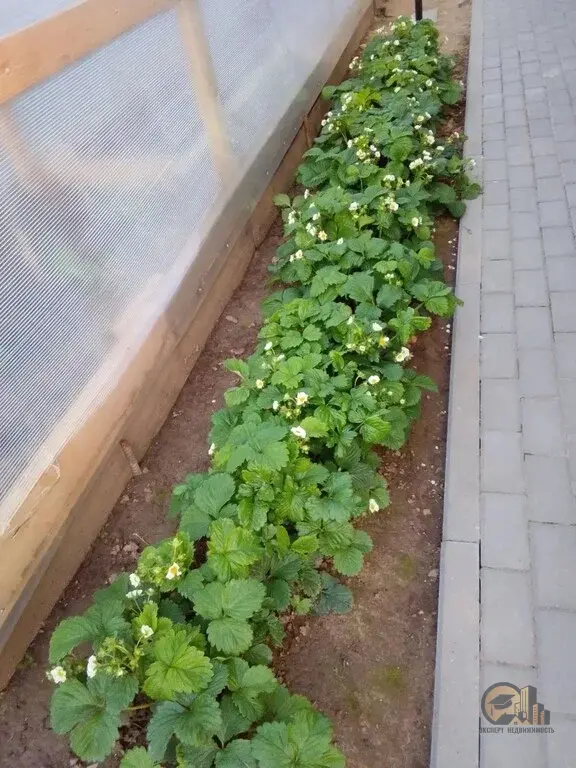Продам дом с Московской пропиской в дер. Батыбино - Фото 28