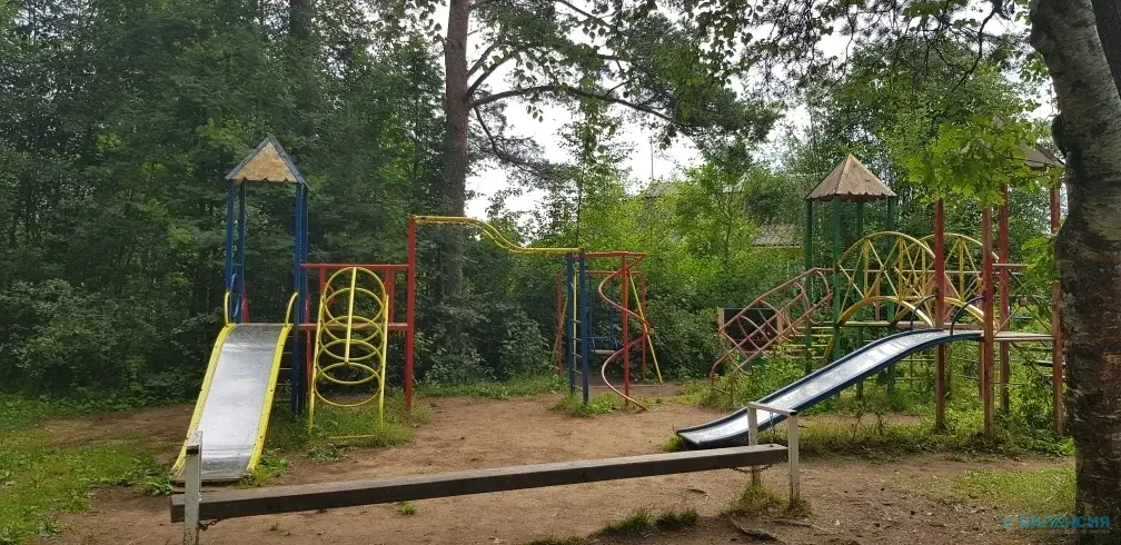 Продажа ЗУ в СНТ Сосновый бор, Куйвозовское СП, ж/д ст. 47 км - Фото 14