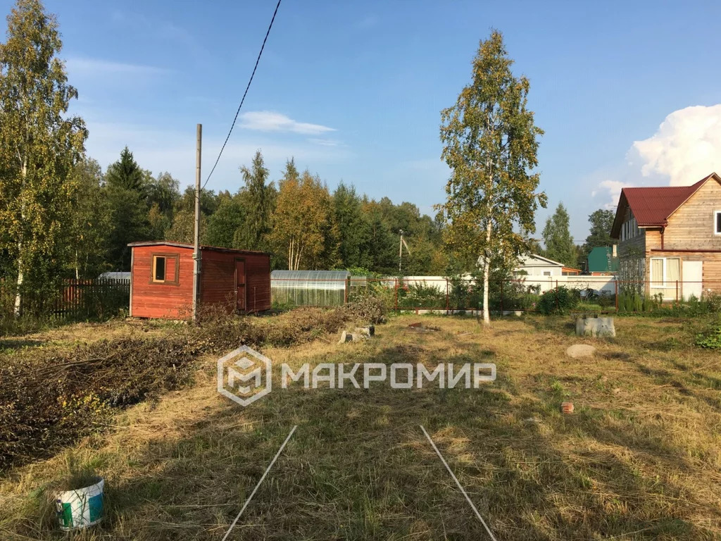 Садоводстве лес. Садоводстве лес
