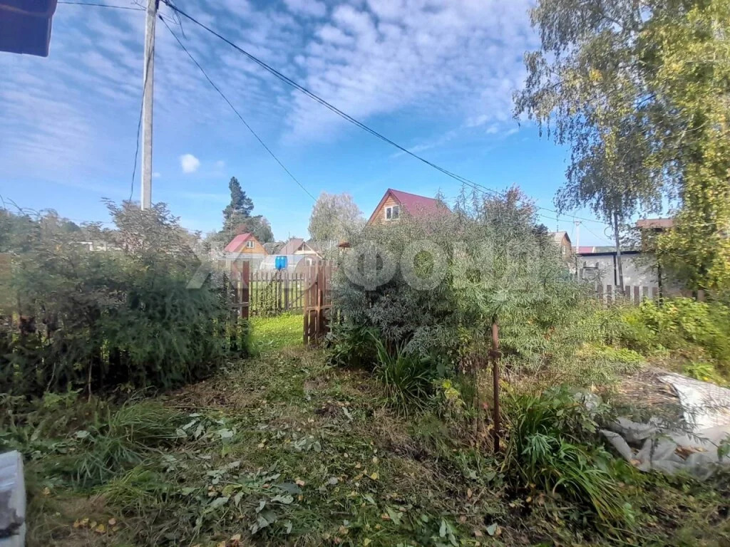 Продажа дома, Льниха, Тогучинский район - Фото 4