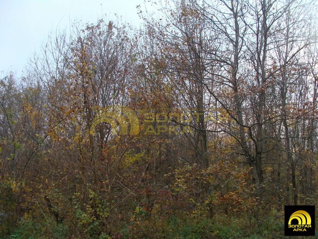 Продажа участка, Ставропольская, Северский район - Фото 8
