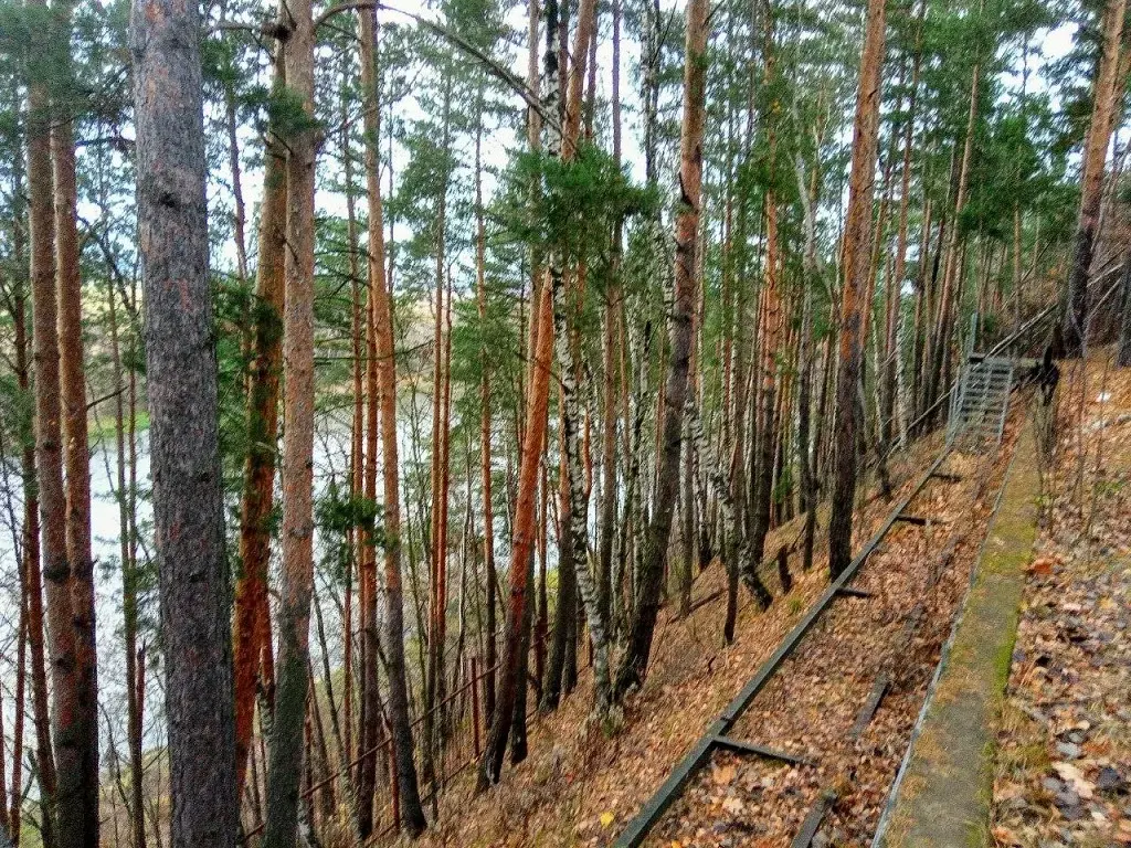 Участок на высоком берегу Москва - реки в Барвихе, Рублевка 5 км. - Фото 11
