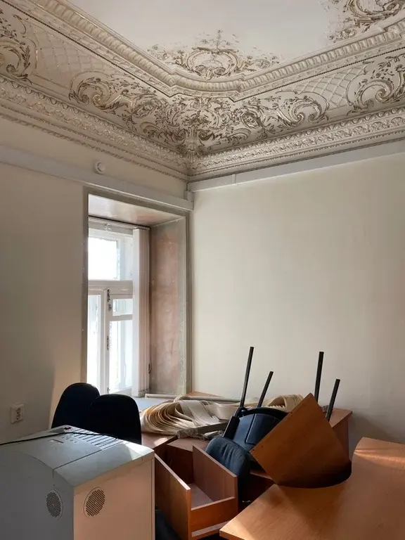 Особняк под Школу Офис Представительство - Фото 12