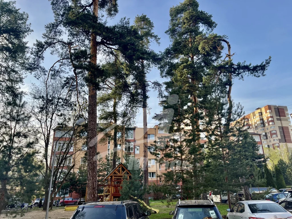 Продажа квартиры, Красногорск, Красногорский район, ул. Парковая - Фото 31