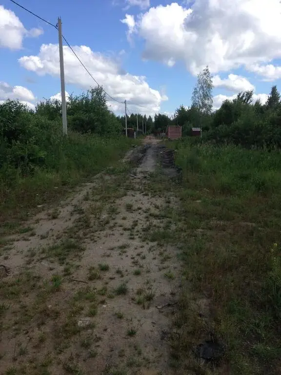 Храпуново ногинский. Храпуново СНТ Полиграфист. Храпуново СНТ Шинник. Храпуново Ногинск. Семья СНТ Храпуново.