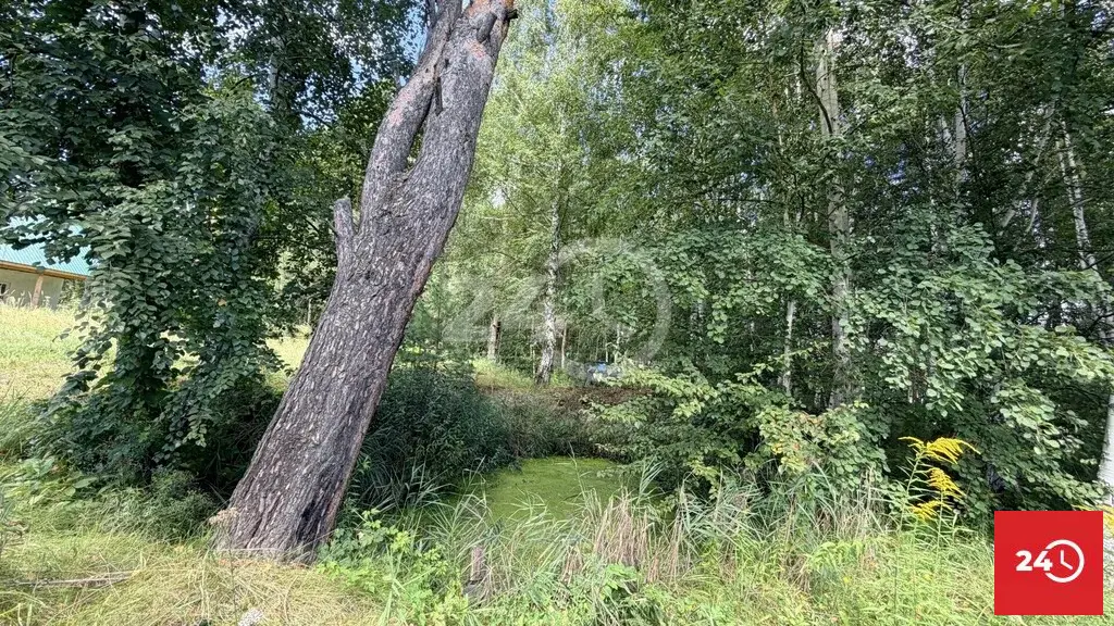 В продаже дача в лесу СНТ Сосенки - Фото 19