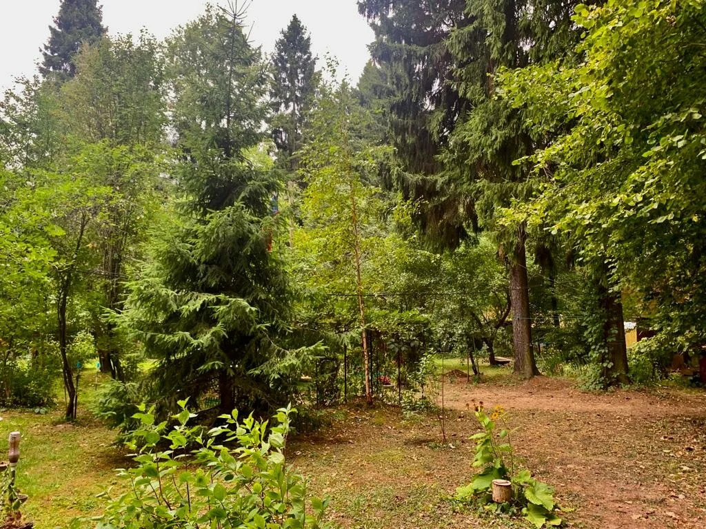 Продажа участка, Лобня, Кооперативная улица - Фото 6