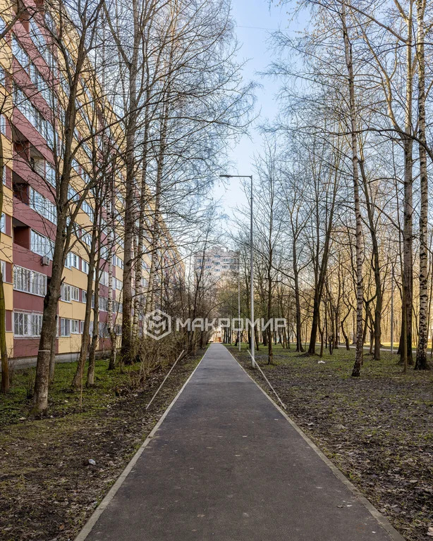 Продажа квартиры, м. Гражданский проспект, Гражданский пр-кт. - Фото 27