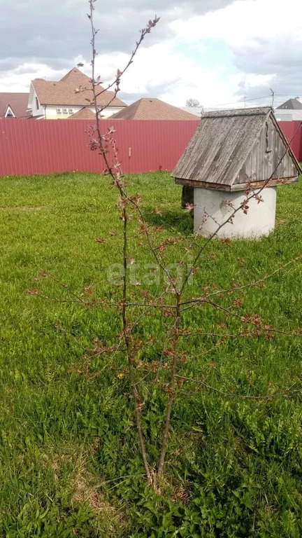 Продажа дома, Соколово, Богородский г. о. - Фото 12