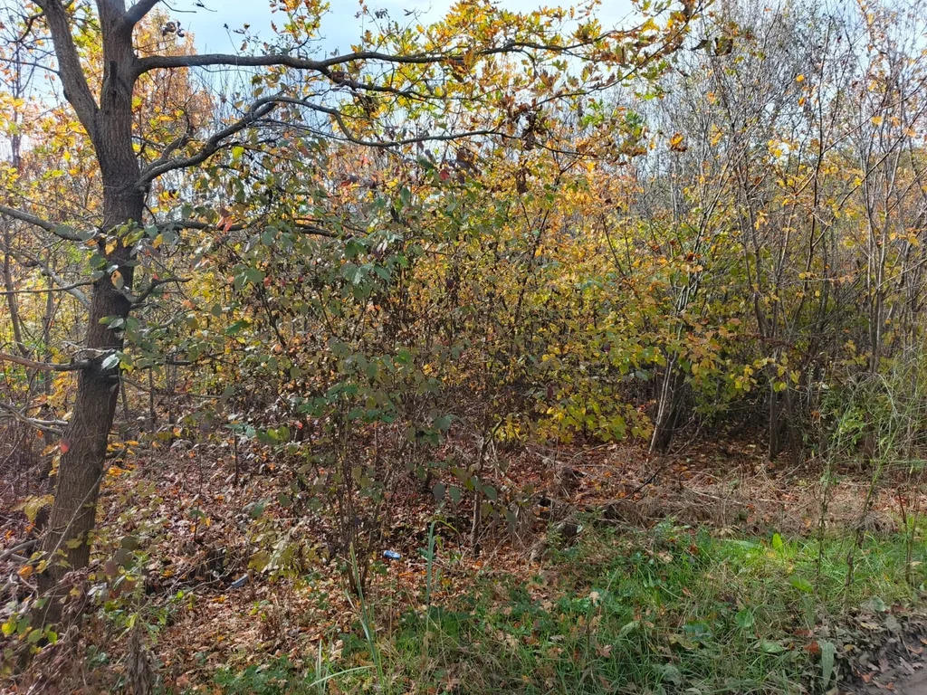 Продажа участка, Северский район - Фото 7