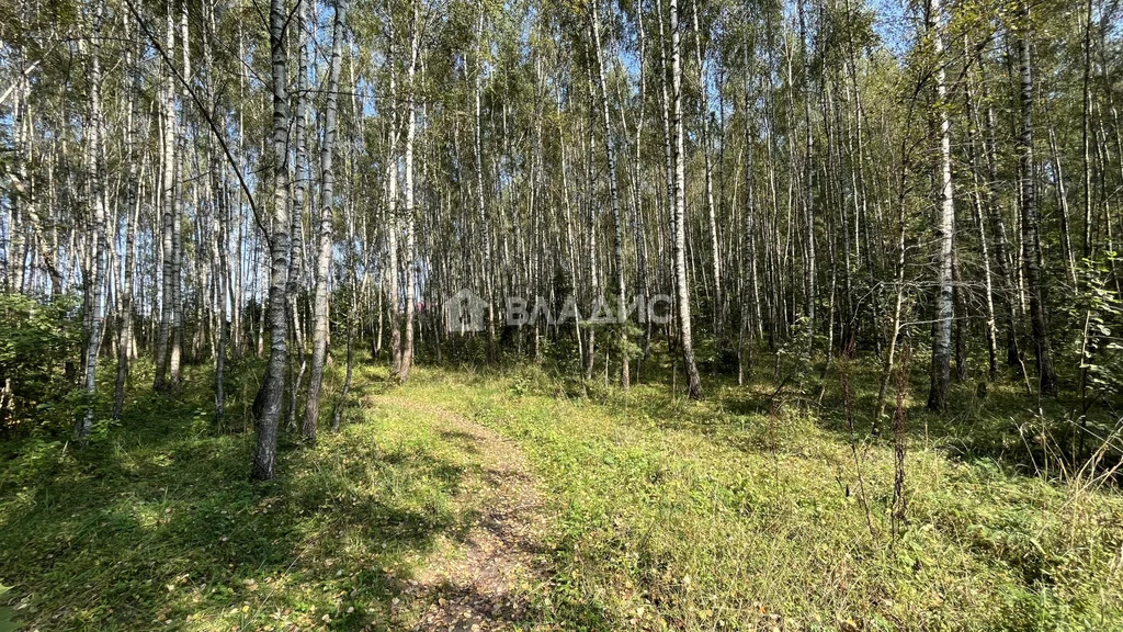 городской округ Серпухов, СНТ Дачное,  земля на продажу - Фото 11