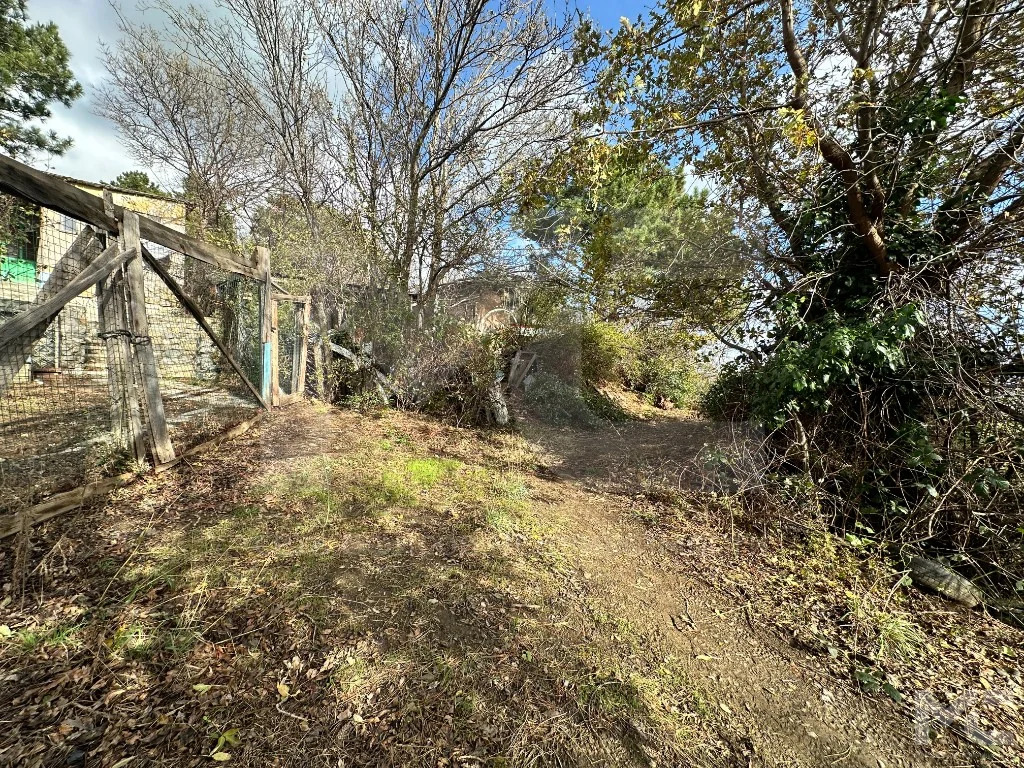 Продажа участка, Алупка, Севастопольское ш. - Фото 7