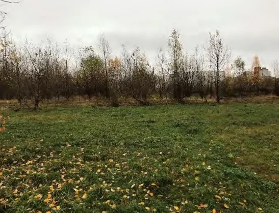 Участок  общей площадью 69 229 кв.м. , Санкт-Петербург - Фото 1