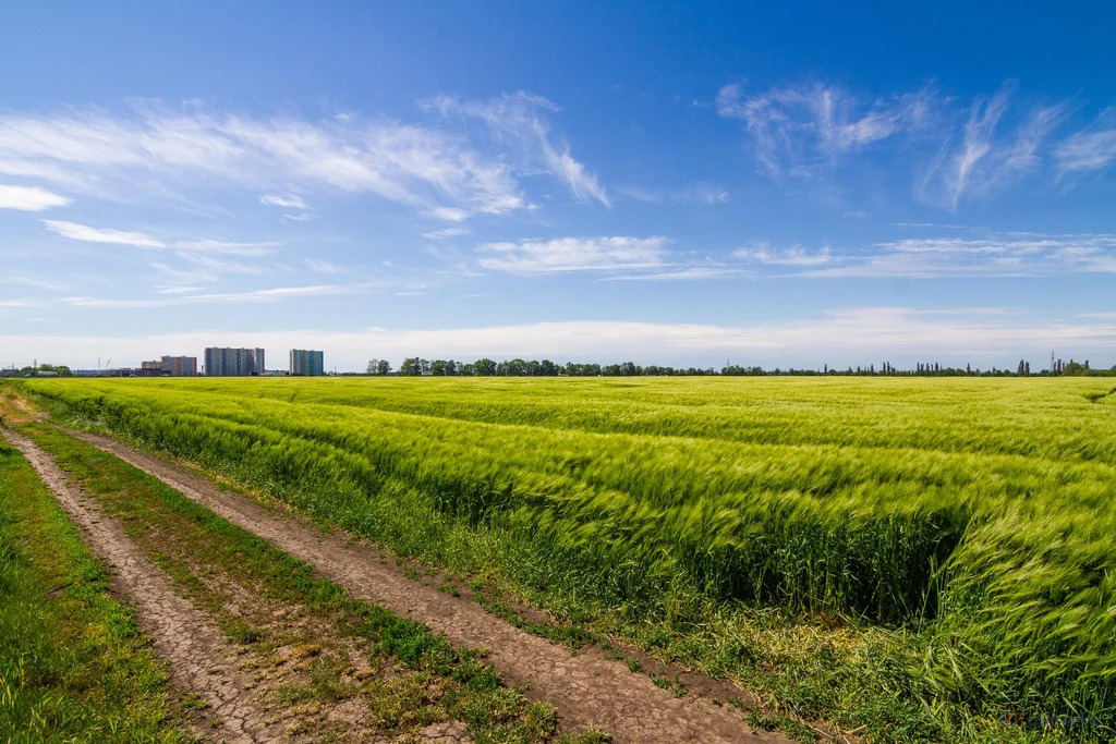Продажа земельного участка, Знаменский - Фото 4