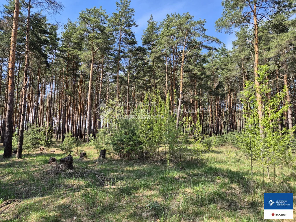 Продажа участка, Рязанский район - Фото 2