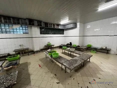 Продажа ПСН, Ногинск, Богородский г. о., ул. Рабочая - Фото 10