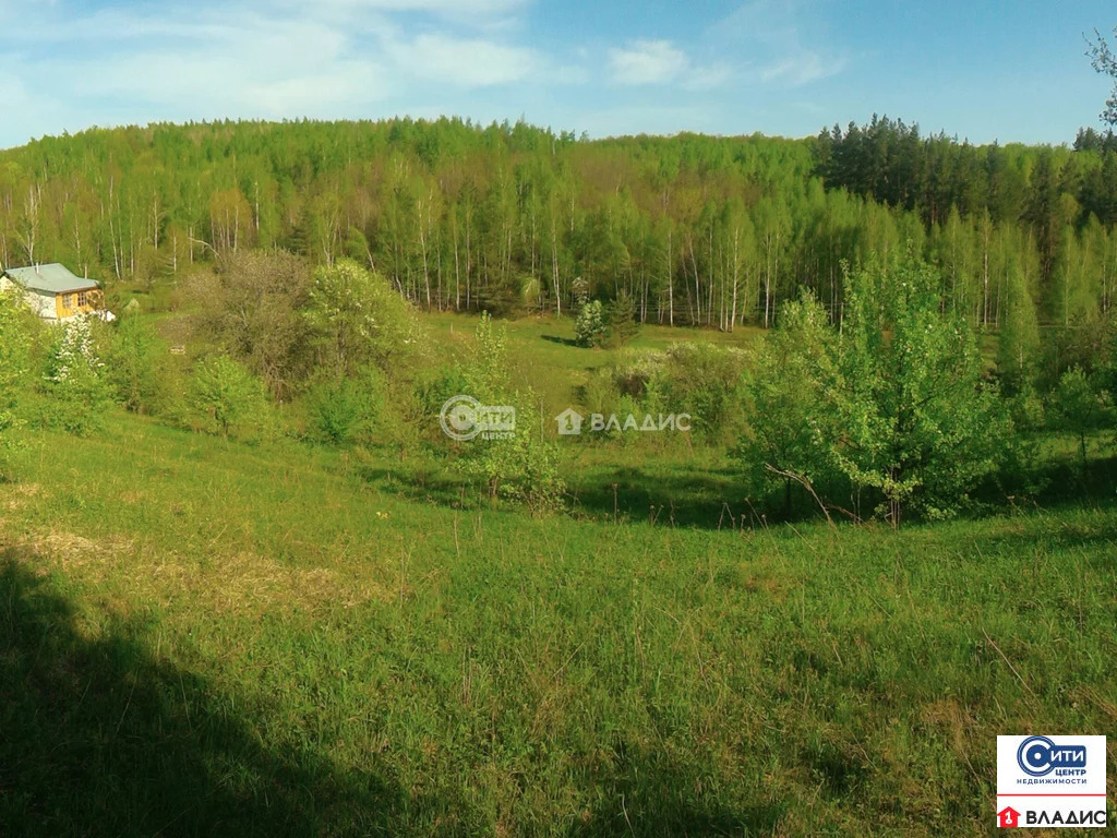 Продажа участка, Ворон-Лозовка, Хлевенский район, ул. Дачная - Фото 3