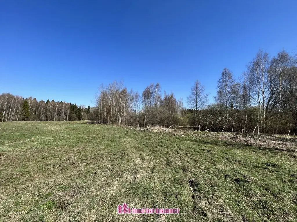 Участок 50 сот. , д. Боброво (Дмитровский район) - Фото 2
