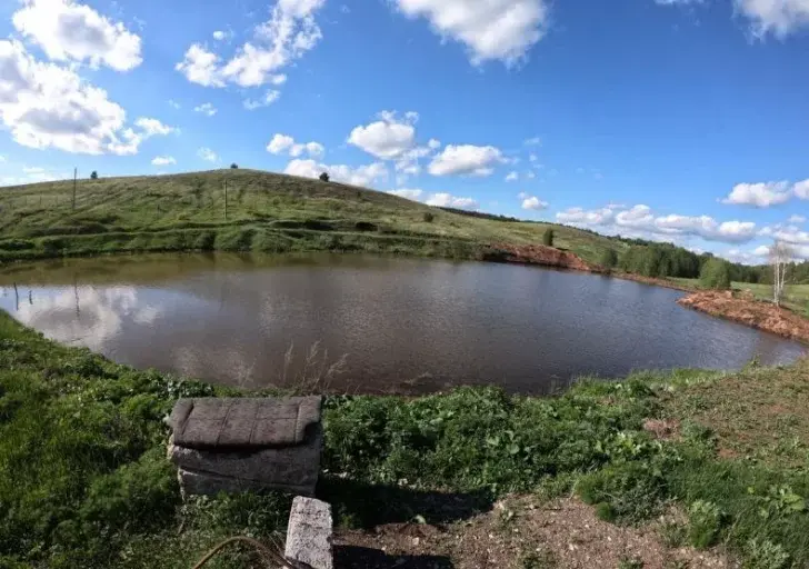 Земля с прудом в с. Еремеево, 2 Га в собственности - Фото 7