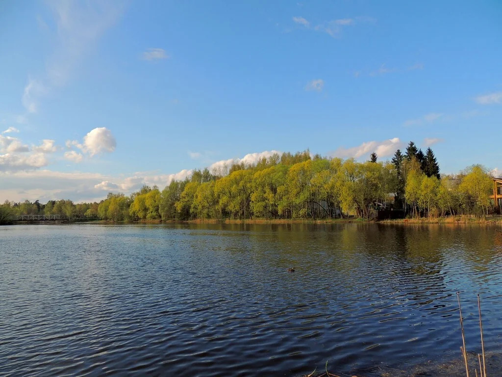 Продажа дома, Николо-Урюпино, Красногорский район, ул. Гагарина - Фото 23