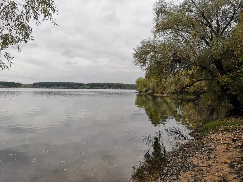 Продаётся участок с долей 1/2 дома в д.Блазново, Можайский район - Фото 5