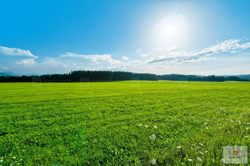 Продажа участка, Инся, Высокогорский район, ул. Кленовая - Фото 0