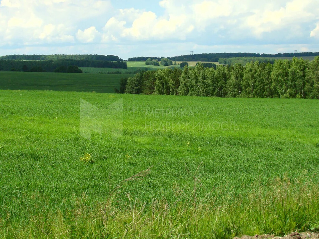 Продажа участка, Ошкукова, Тюменский район, Тюменский р-н - Фото 1