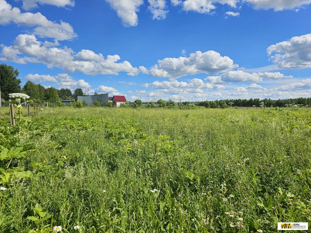 Продажа участка, Таблово, Рузский район - Фото 4