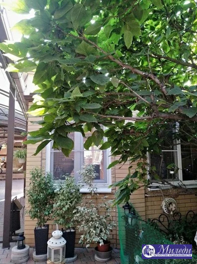 Продажа дома, Батайск, ул. Ворошилова улица - Фото 20