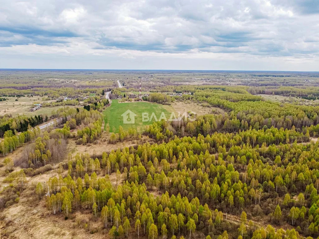 Судогодский район, деревня Кощеево, земля на продажу - Фото 4