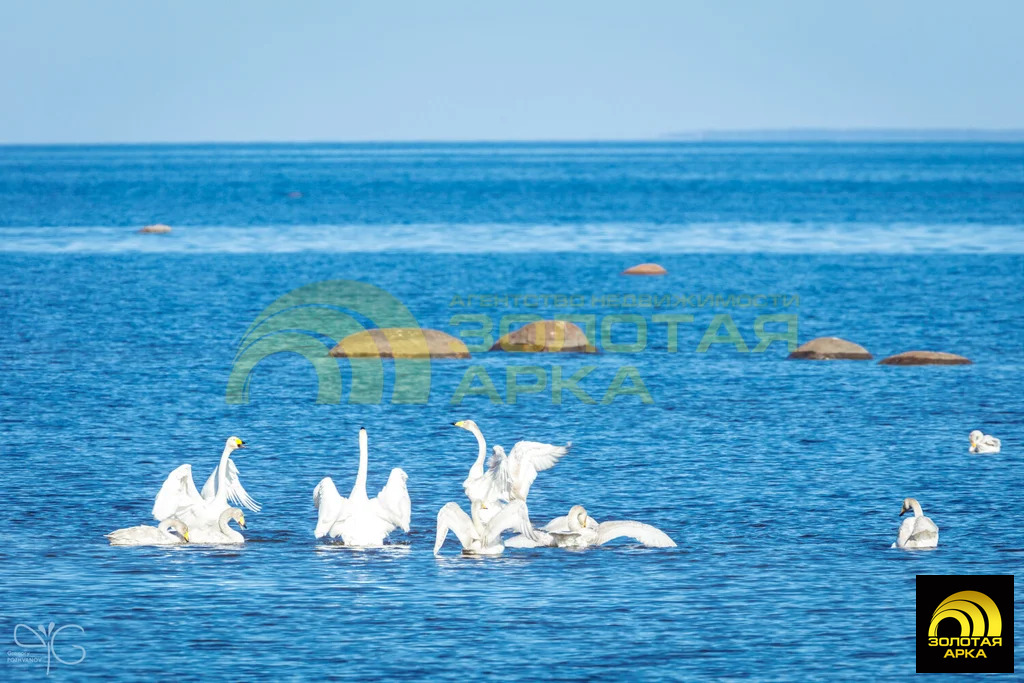 Продажа дома, Чернышево, Раздольненский район, ул. Садовая - Фото 9