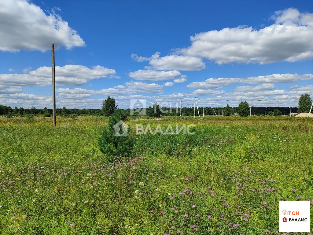 Богородский городской округ, Ногинск, Ново-Богородская улица,  земля ... - Фото 3