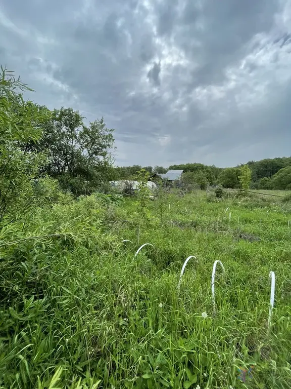 Продаю участок 15 соток, под пмж д. Госконюшня Ступинский район. - Фото 2