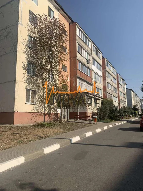 Продажа квартир в разумном белгородской области с фото на авито