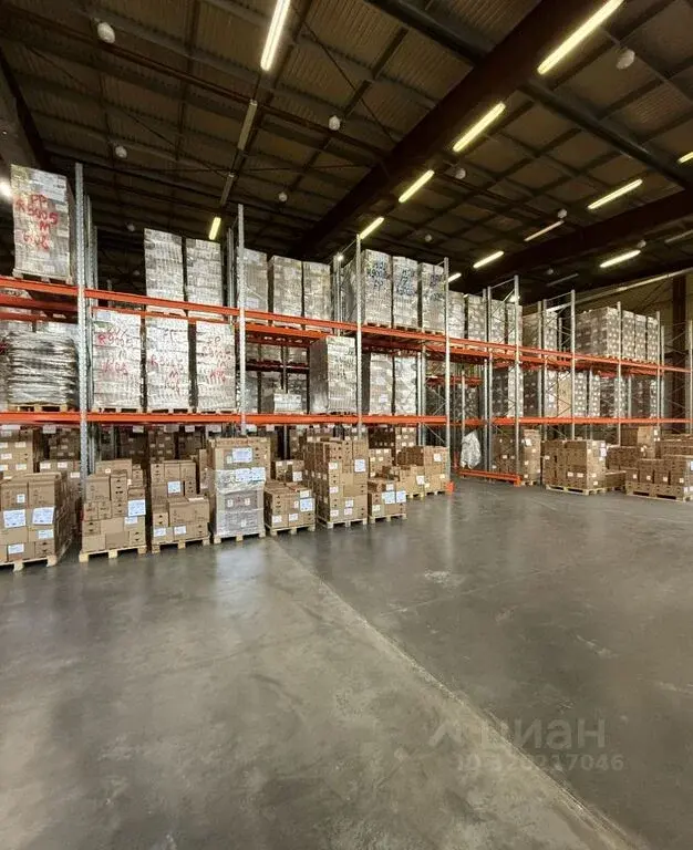 Продажа помещения свободного назначения 7500.0м ул. Центральная, 14/1, ... - Фото 1