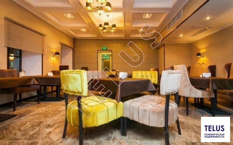 м.Тверская, Дмитровский переулок, 2403м2- Здание (ном. объекта: 8363) - Фото 7