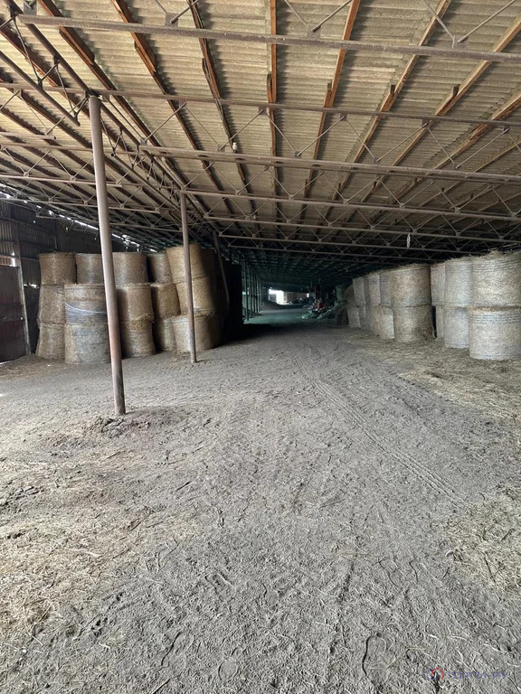 Продажа производственного помещения, Раздольное, Новоалександровский ... - Фото 7