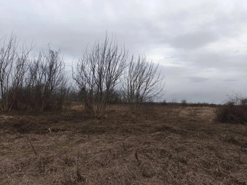 Продажа участка, Львовское, Северский район, ул. Орджоникидзе - Фото 5