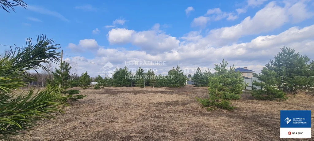 Продажа участка, Рязанский район - Фото 5