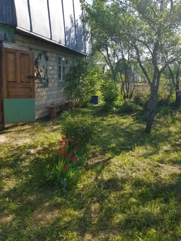 Продажа дома 30.0м Тульская область, Алексин городской округ, Здоровье ... - Фото 2