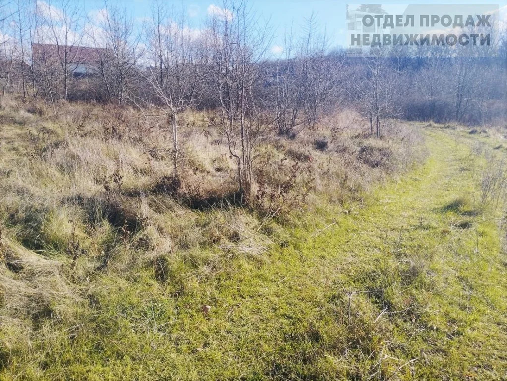 Объект 537728 - Фото 3