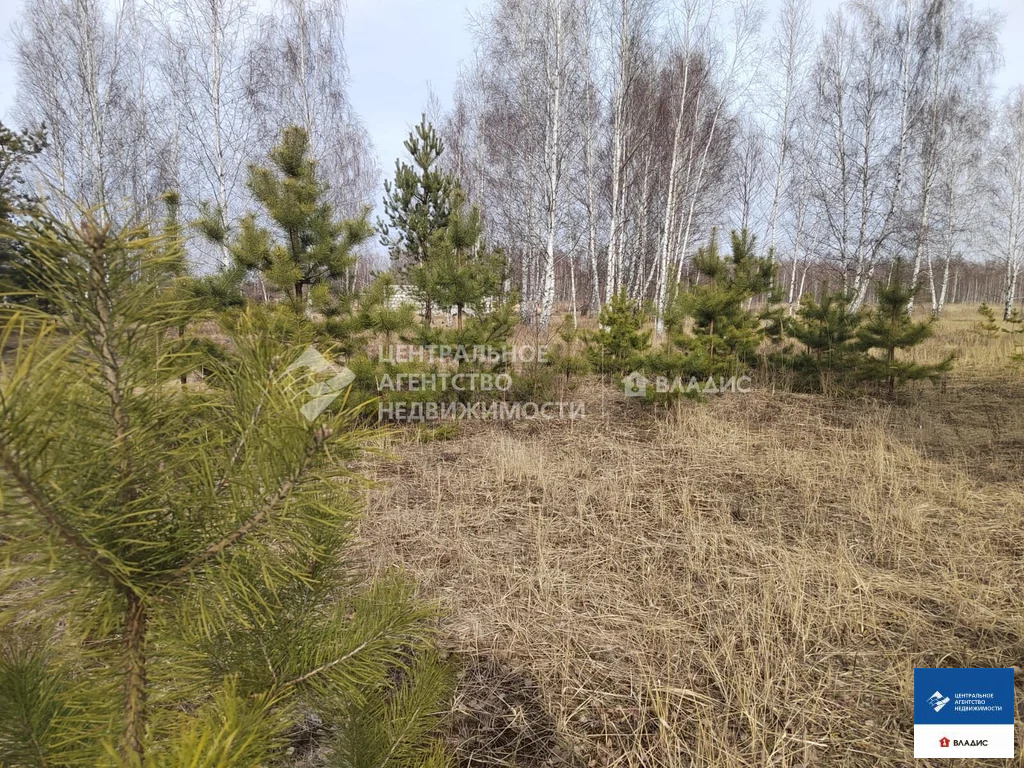 Продажа участка, Рязанский район - Фото 6
