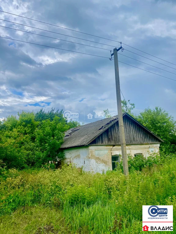 Продажа участка, Серебрянка, Семилукский район, ул. Центральная - Фото 2