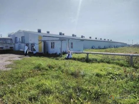 Продажа производственного помещения, Новгородский район, д. Подберезье - Фото 6