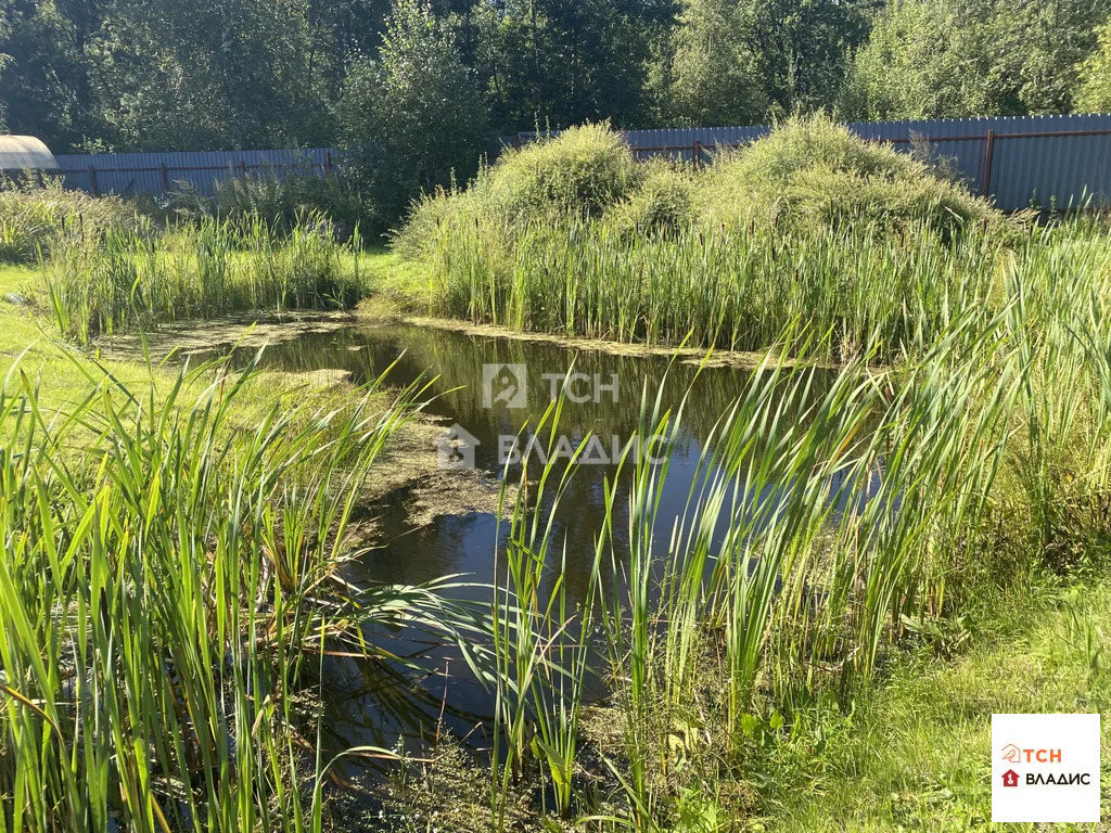 Сергиево-Посадский городской округ, деревня Слабнево,  дом на продажу - Фото 9