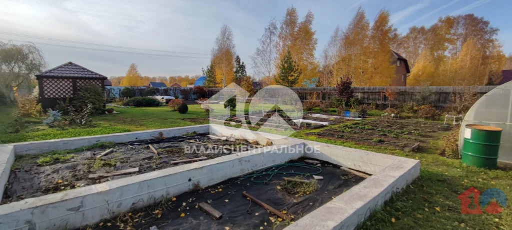Новосибирский район, садовое товарищество Шафран,  земля на продажу - Фото 11
